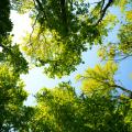 MiNELL │ recrutement: 1 Coordinateur/trice éducation à l’environnement