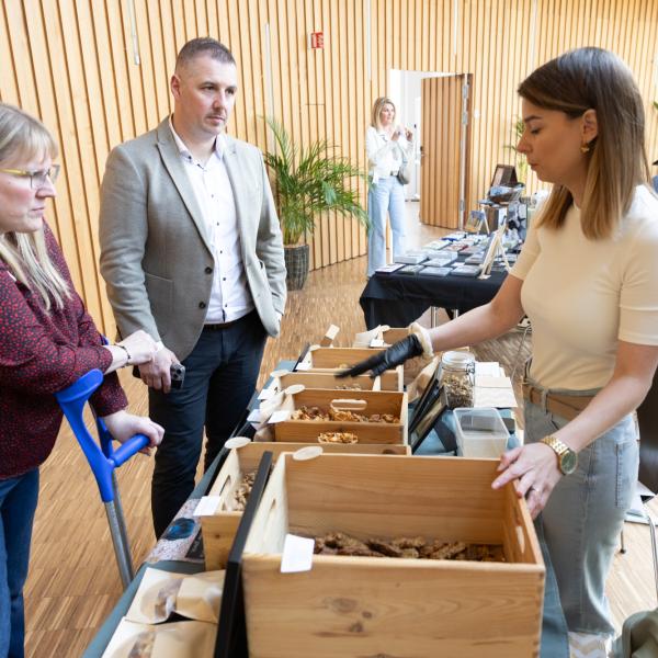 Konscht an Hobbymaart - Spring Edition