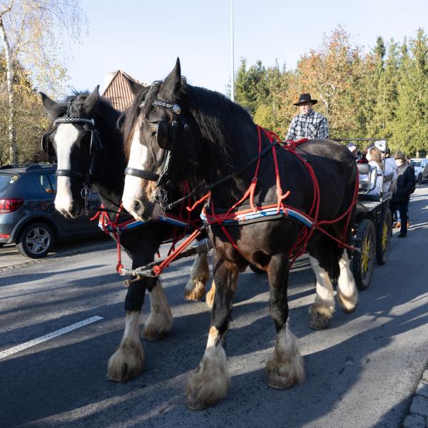 Wanterweekend - Kleeschen