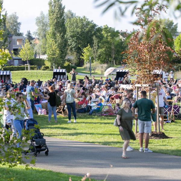 Kino am Park