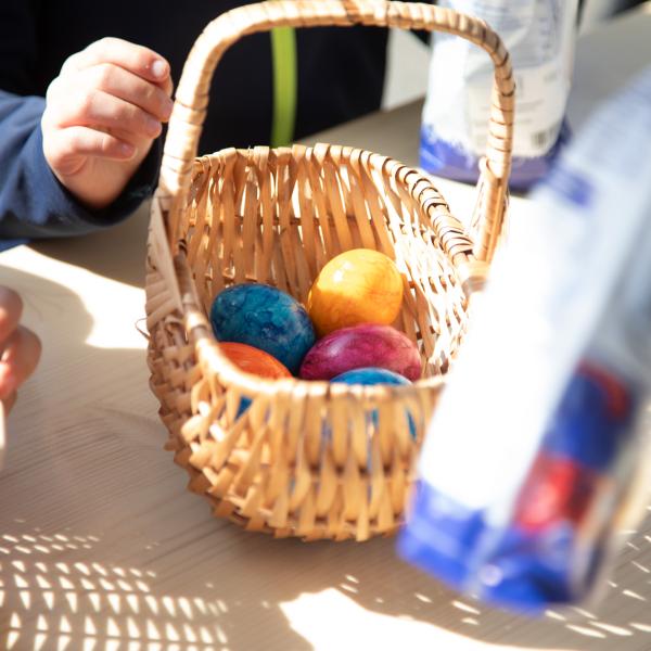 Chasse aux oeufs 2025