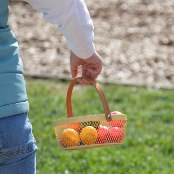 Chasse aux oeufs 2025