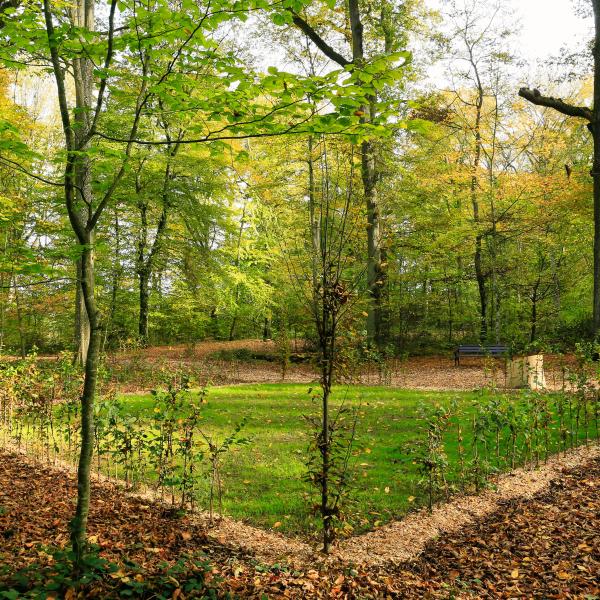 Bëschkierfecht Hennebësch | Cimetière en forêt Hennebësch