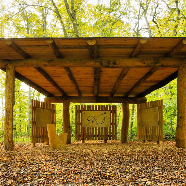 Bëschkierfecht Hennebësch | Cimetière en forêt Hennebësch