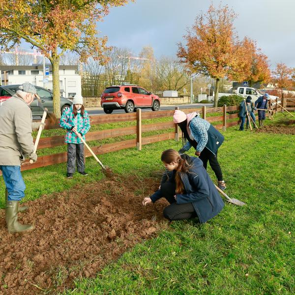 Journée de l'Arbre | 25.11.2022