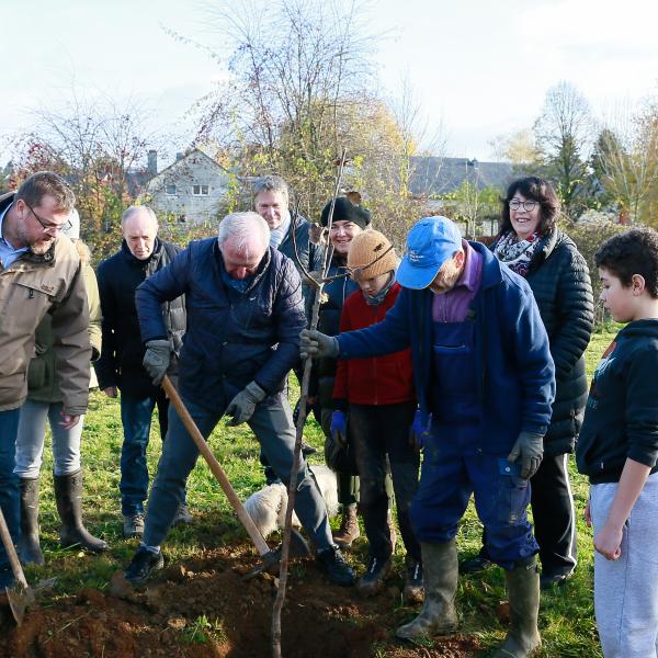 Journée de l'Arbre | 25.11.2022