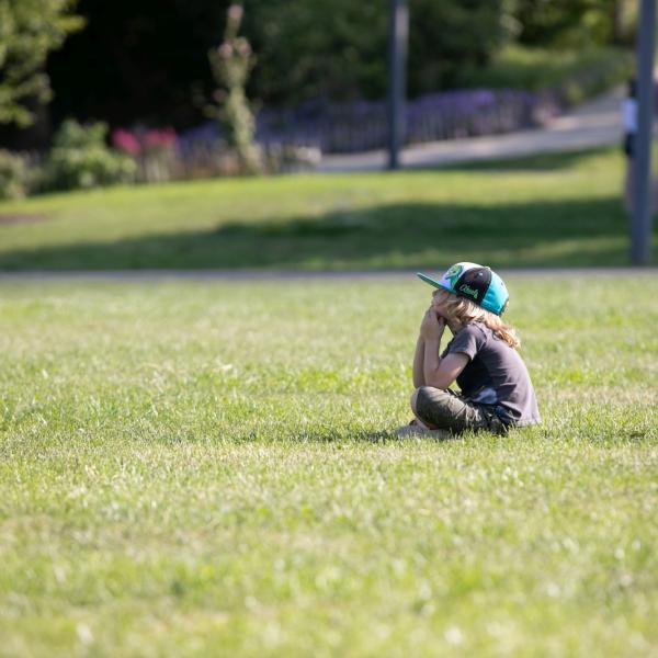 Kino am Park 2025