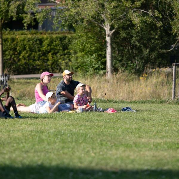 Kino am Park 2025