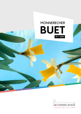 Couverture avec narcisses et ciel bleu