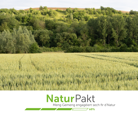 Illustration: Photo du crassier végétalisé avec logo Pacte Nature