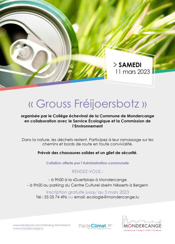 Flyer Grouss Botz