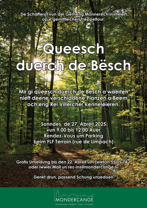 Affiche