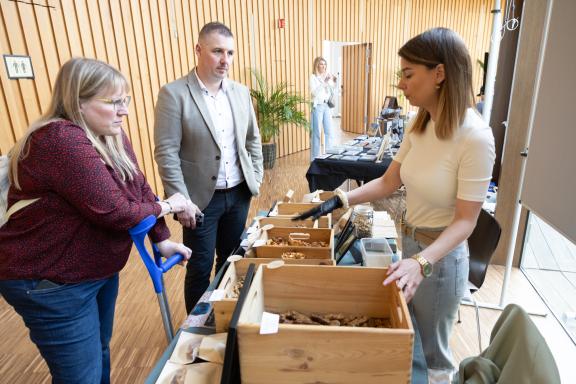 Konscht an Hobbymaart - Spring Edition