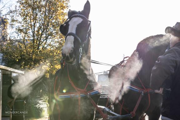 Wanterweekend - Kleeschen