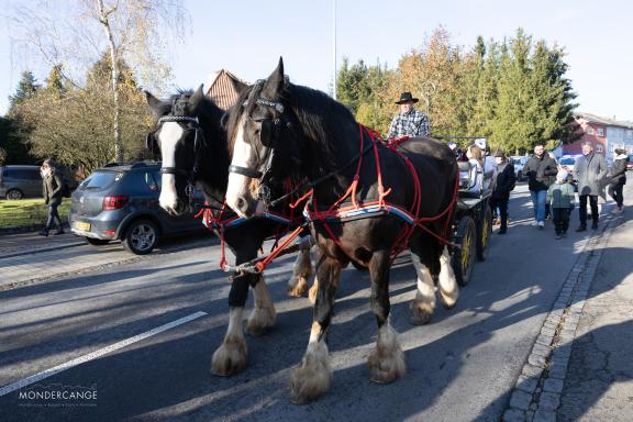 Wanterweekend - Kleeschen