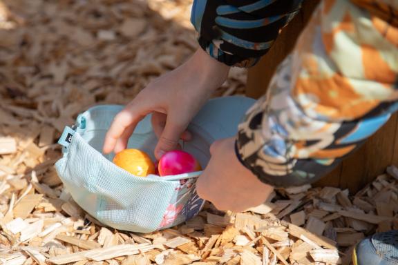 Chasse aux oeufs 2025