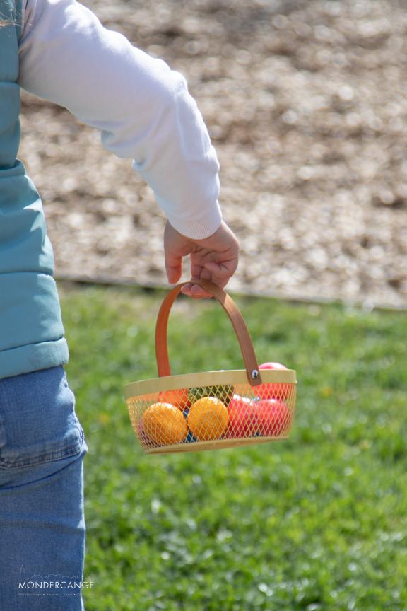 Chasse aux oeufs 2025