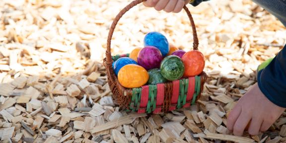 Chasse aux oeufs 2025